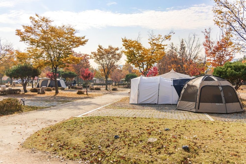 화성시 향남 오토캠핑장 시설 사진 75