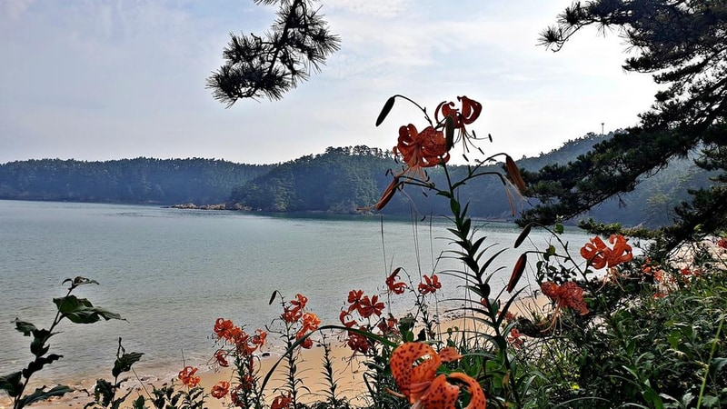 구름포해변캠핑장 시설 사진 8