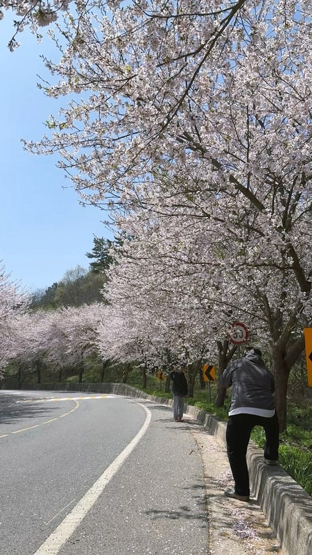 SE클럽(태안둘레길캠핑장&펜션)