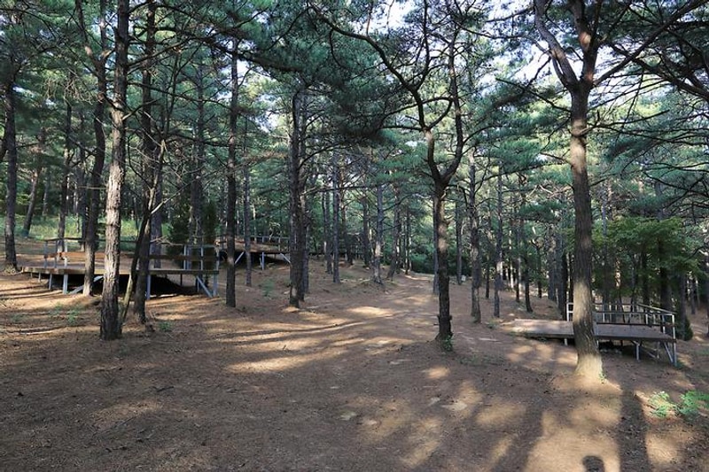 파인힐캠프 대표 사진