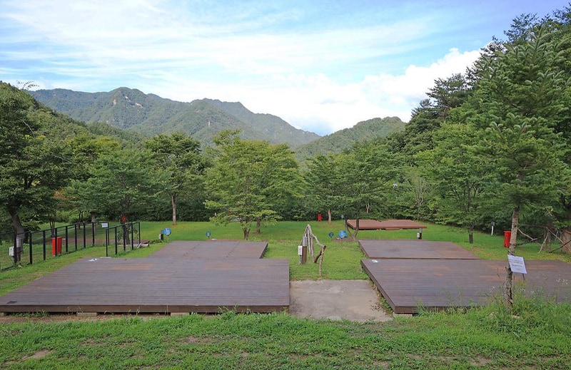 라이프위드도그 시설 사진 2