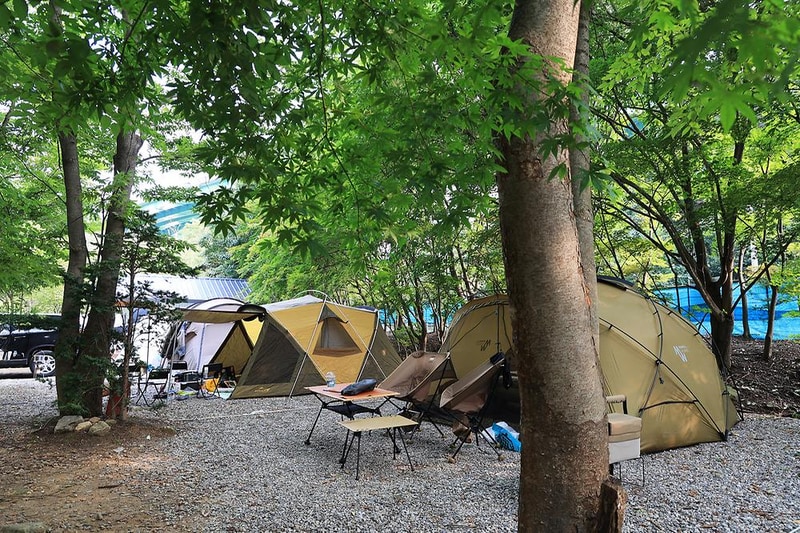 태양힐링숲 시설 사진 19