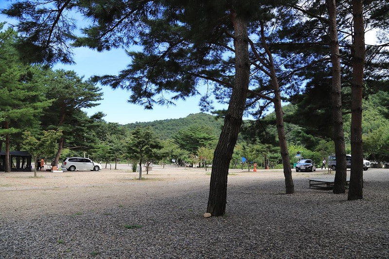 삼척엘림캠핑장 시설 사진 20