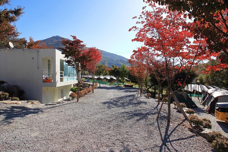 묘솔 시설 사진 14