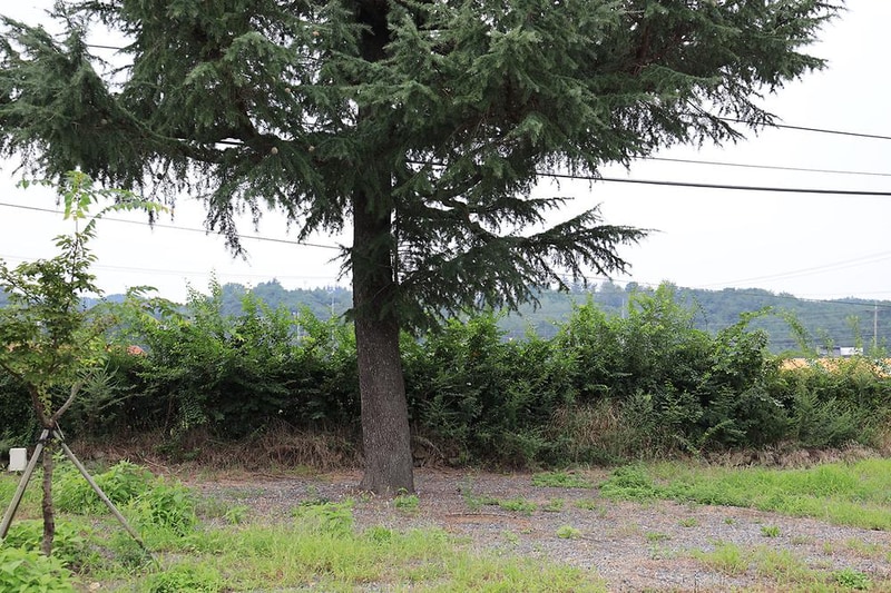 경주생태원캠핑장 시설 사진 6