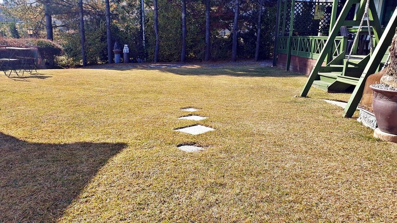 노르딕 민박 시설 사진 23