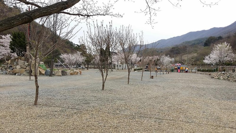 에코밸리 캠프 시설 사진 2