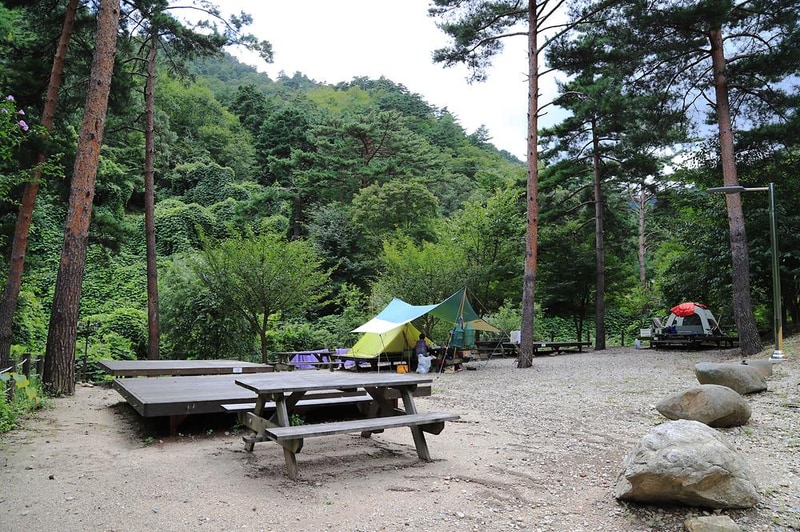 국립검봉산자연휴양림야영장 시설 사진 10