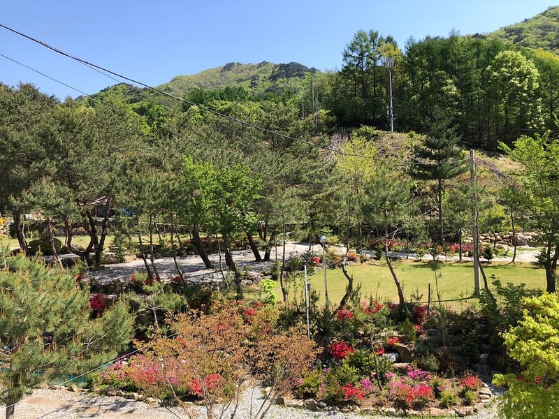 덕동리301캠핑장 시설 사진 8