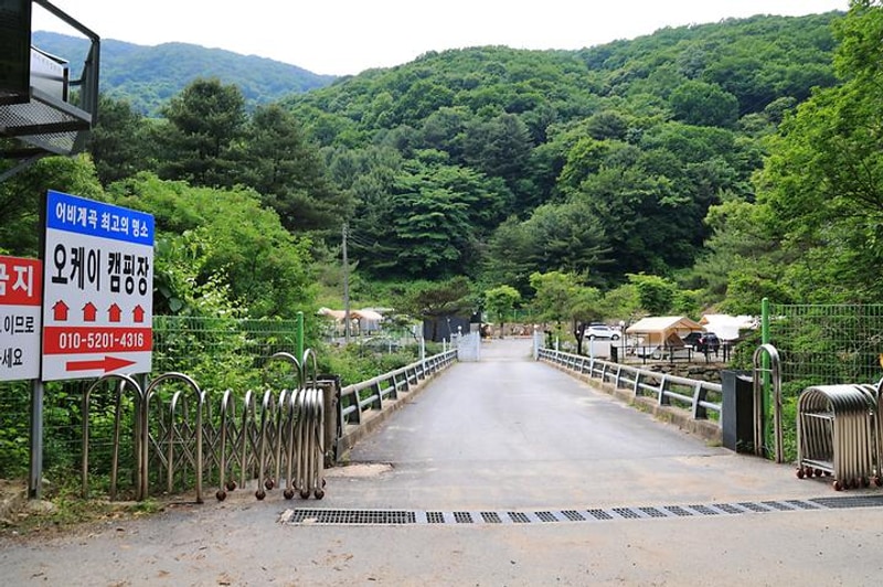 오케이캠핑장 대표 사진