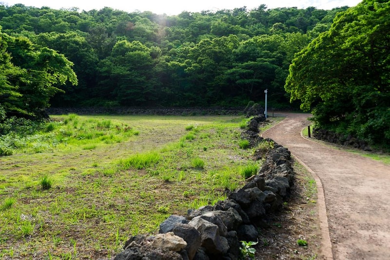 교래자연휴양림야영장 시설 사진 52