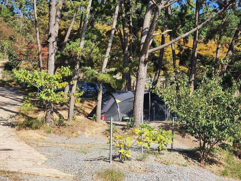 굼벵이캠핑장 시설 사진 9