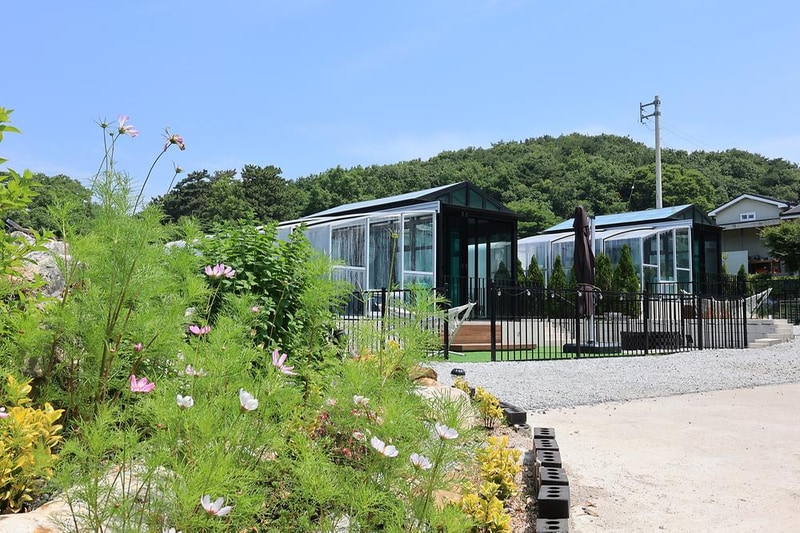 구르미의 오션 시설 사진 2