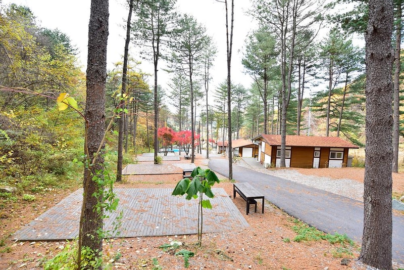 유명산힐링캠프 시설 사진 20