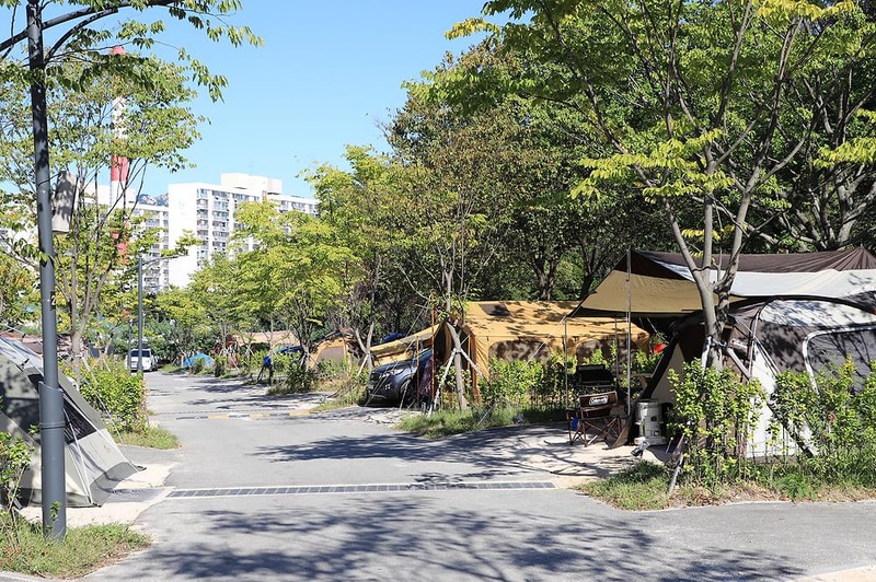 초안산캠핑장 시설 사진 24