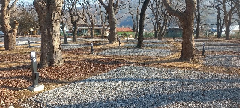 선돌느티나무캠핑마을 영농조합법인 시설 사진 14