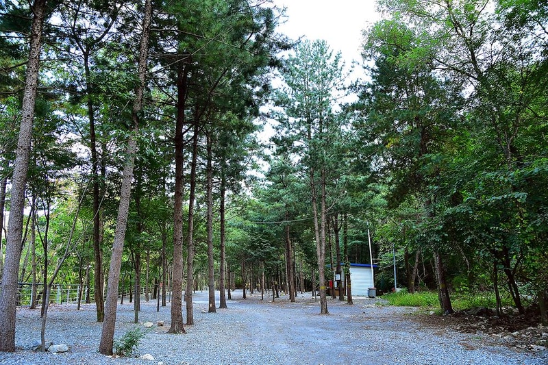 하얀숲 오토&글램핑 시설 사진 14