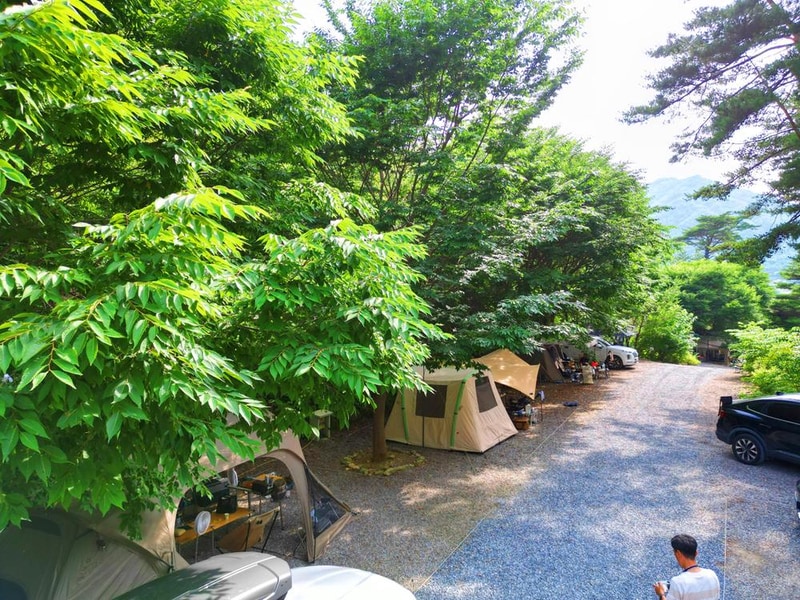 별빛캠핑장 시설 사진 21