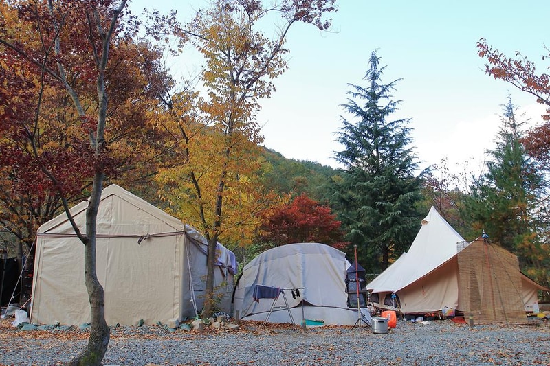 월계수 캠핑장 시설 사진 9