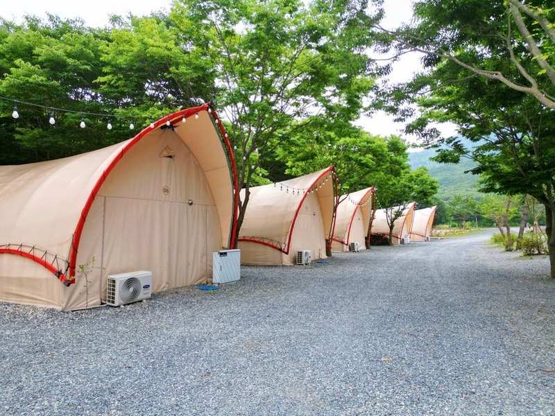 단양 글램핑&펜션 시설 사진 25