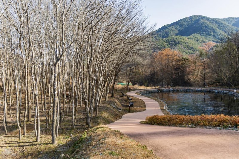 가야산오토캠핑장 시설 사진 7