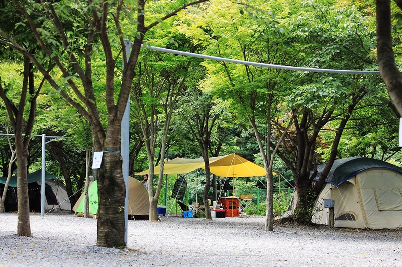 맑은물소리캠핑장 시설 사진 38