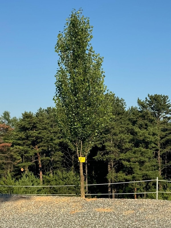 엘모로캠핑 시설 사진 7