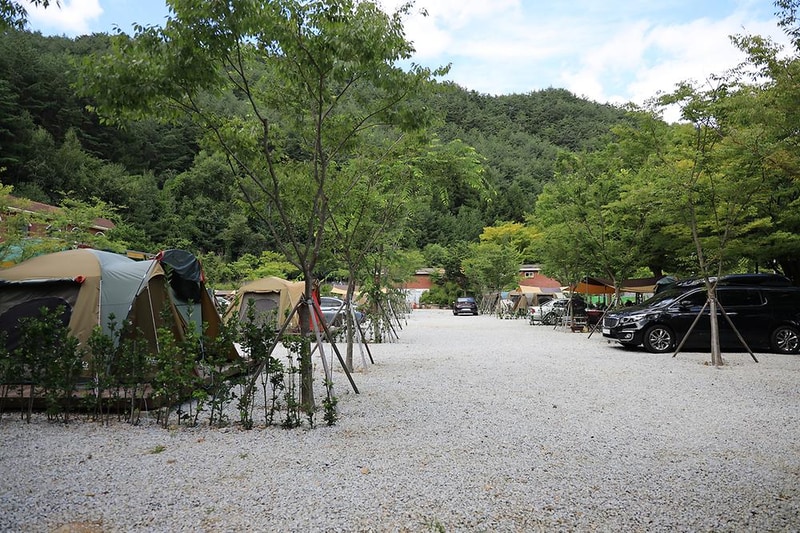 봉화솔향가득서울캠핑장 시설 사진 26