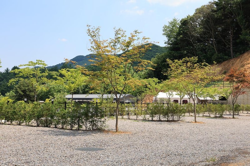 숲속에햇살캠핑장 시설 사진 14