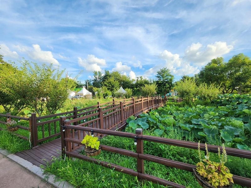 구리 토평 가족캠핑장 시설 사진 29