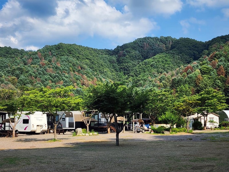 가평 오블리비아테 수영장 펜션&카라반 시설 사진 2