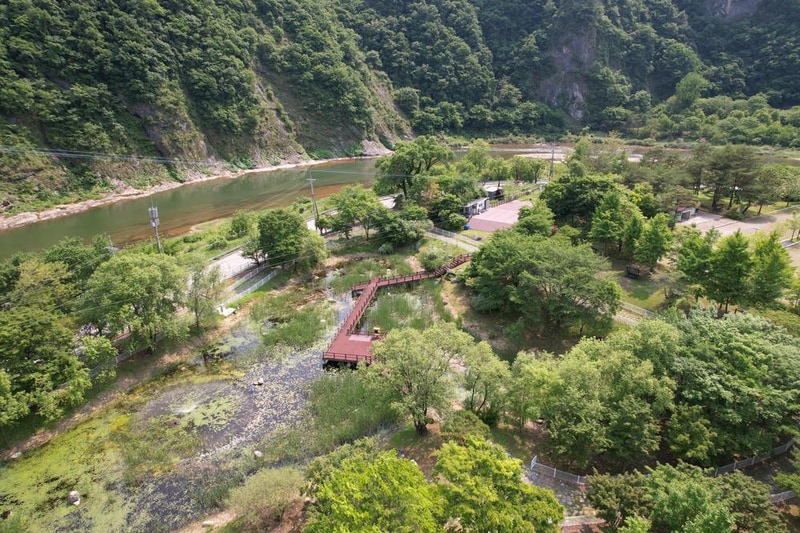 정선군생태체험학습장야영장 펫 동반 캠핑장 시설 사진 93