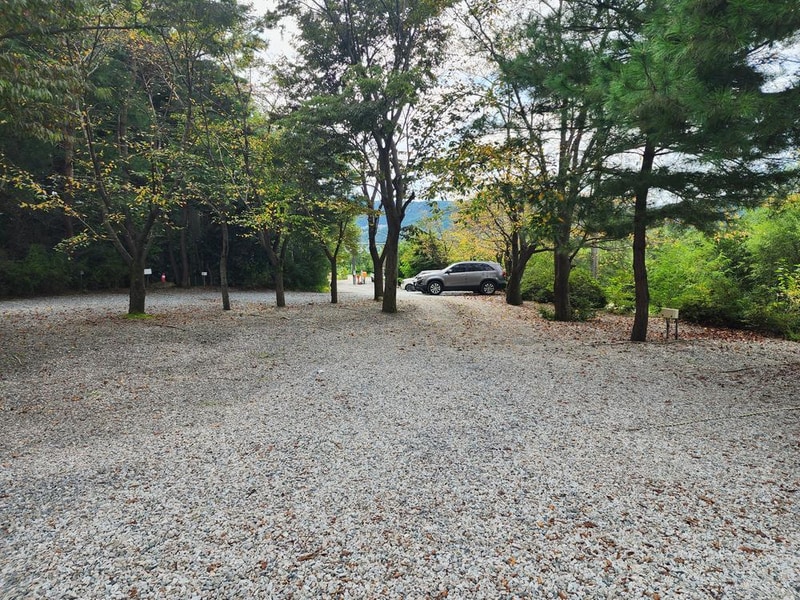 숲속에안뜰 캠핑장 시설 사진 2