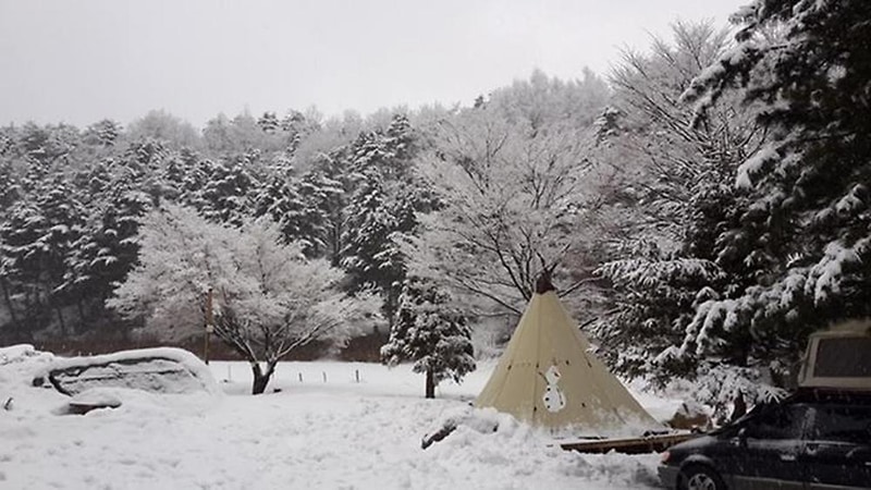 대관령 솔내음 오토 캠핑장 시설 사진 1
