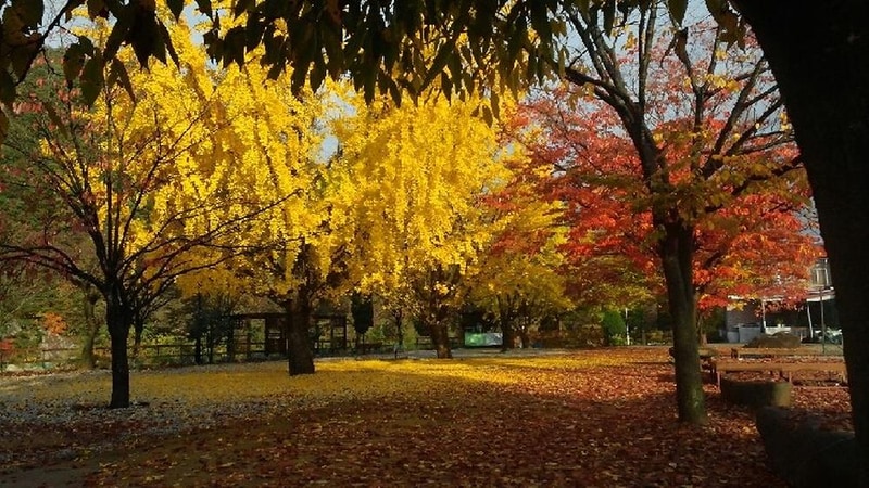 괴강관광농원 시설 사진 83