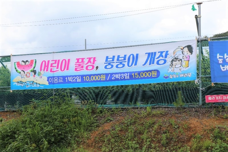 숲속의베리팜 시설 사진 4