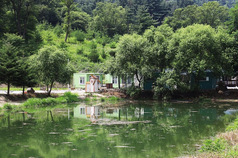 포레스트 캠핑장 시설 사진 8