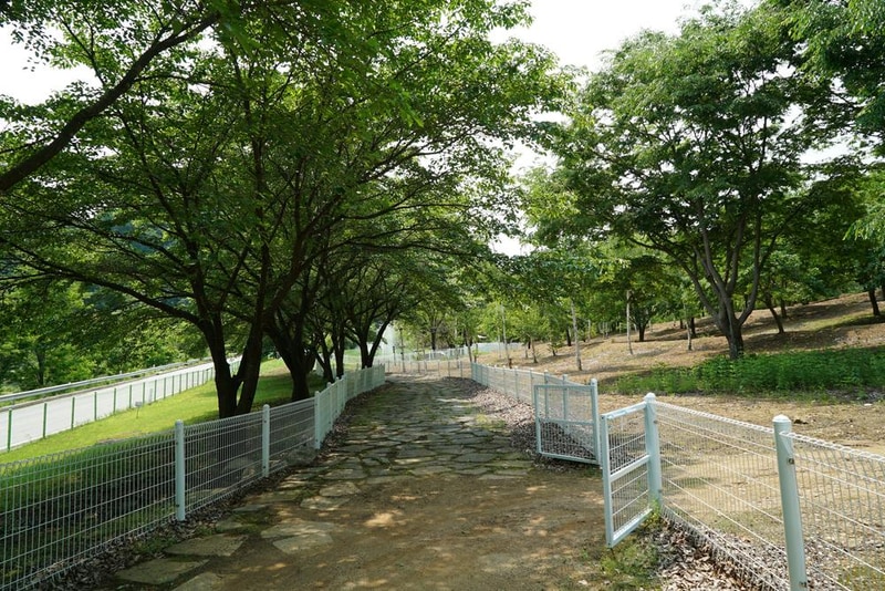 정선군생태체험학습장야영장 펫 동반 캠핑장 시설 사진 40