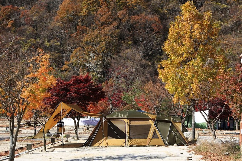 달궁자동차야영장 시설 사진 45