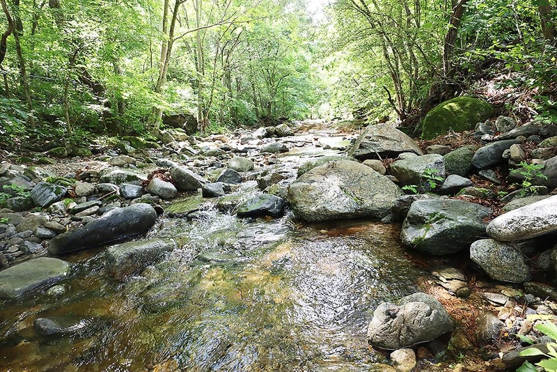 큰빛내 야영장 시설 사진 8