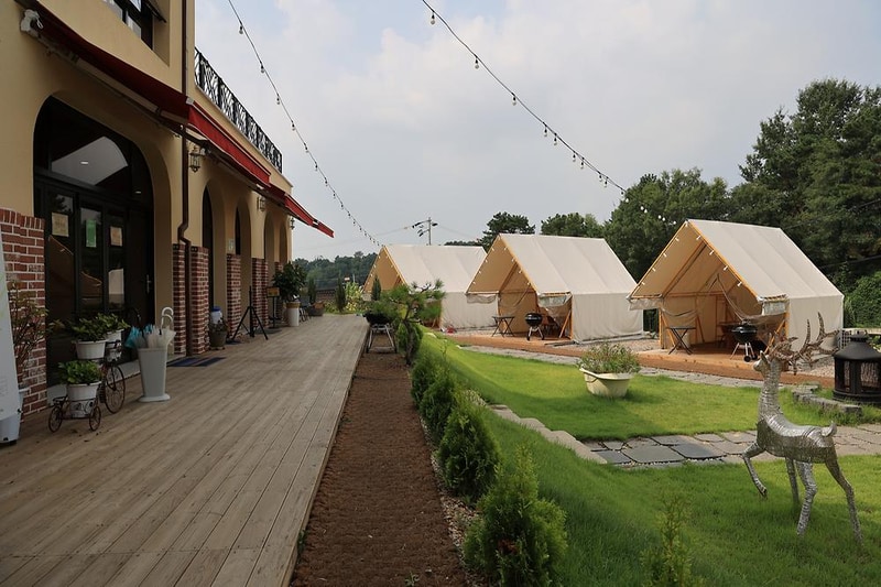 포레스트 도일 시설 사진 9