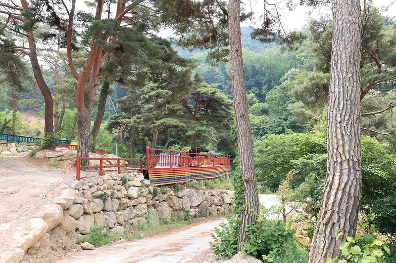 팜스프링 야영장 시설 사진 4