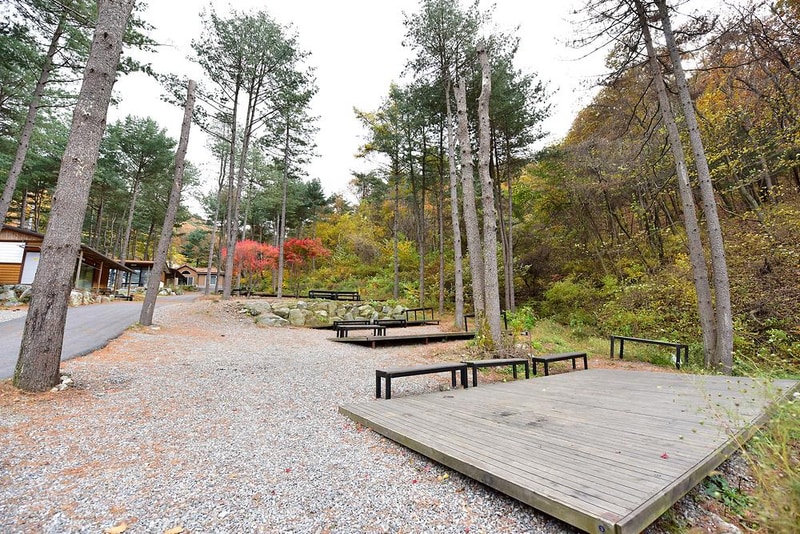 유명산힐링캠프 시설 사진 16