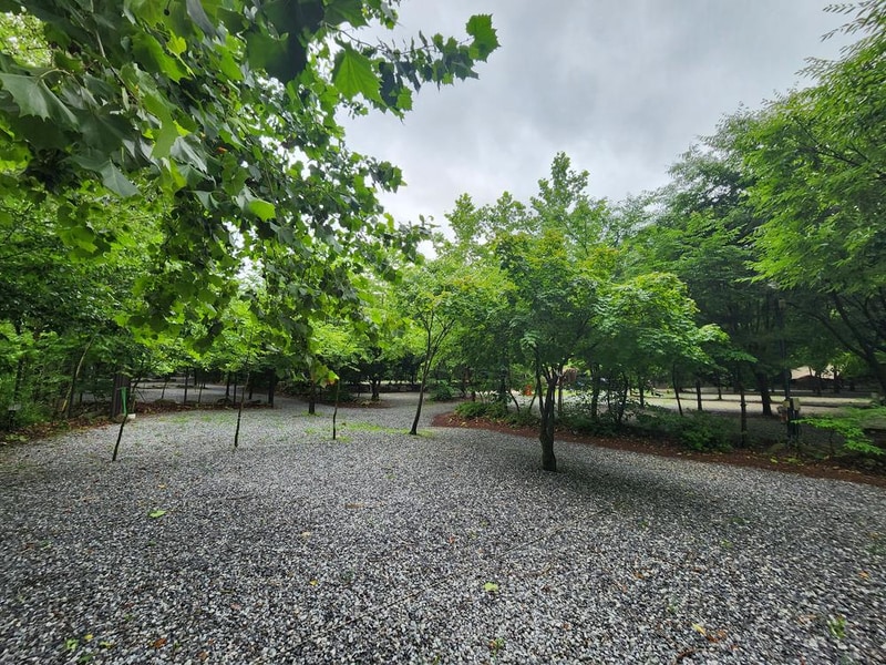 몬테비얀코 시설 사진 21