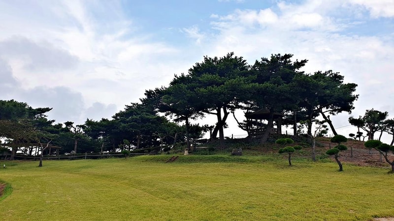 태안 안면도 비비애견동반캠핑장 시설 사진 16
