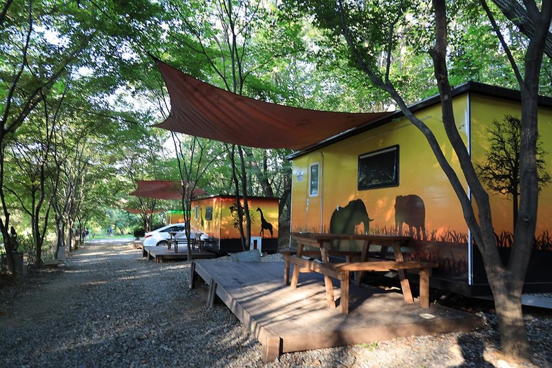 아프리카예술박물관 캠핑장 시설 사진 6