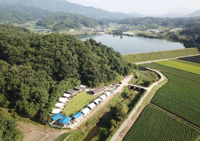 루파니애견캠핑장 시설 사진 8