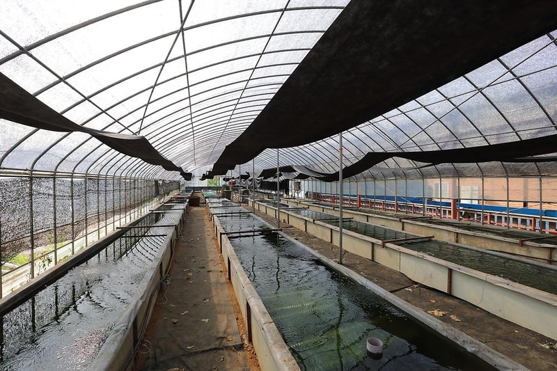 자연애캠핑장 시설 사진 2