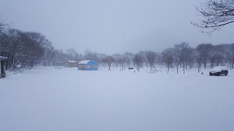 써니밸리오토캠핑장 시설 사진 1