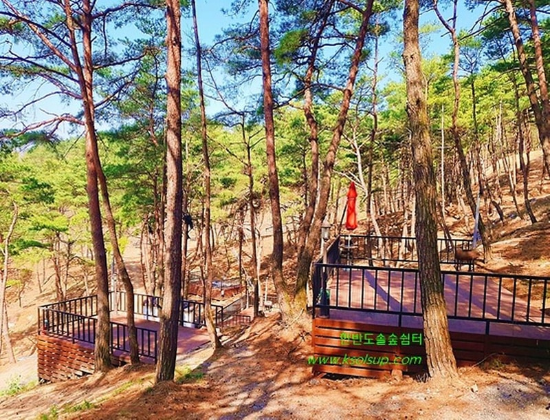 한반도 솔숲 쉼터 시설 사진 5